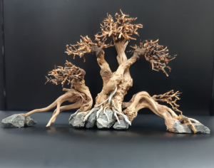 Коряга "Бонсай" 34х11х22см B24-M