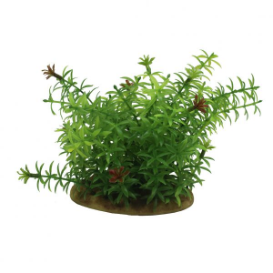 ArtUniq Elodea 15 - Элодея, 15 см