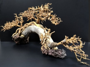 Коряга "Бонсай" 54х21х24см B72-L