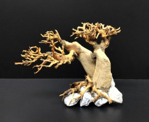 Коряга "Бонсай" 18х10х14см B78-XS