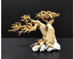 Коряга "Бонсай" 18х10х14см B78-XS