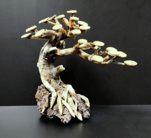 Коряга "Бонсай" 25х12х24см B57-M