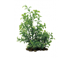 ArtUniq Ludwigia green 38 Искусственное растение Людвигия зеленая, 38 см