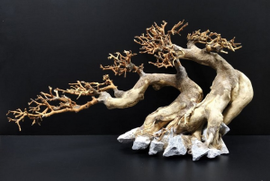 Коряга "Бонсай" 42х18х24см B95-L