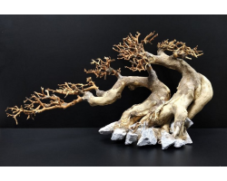 Коряга "Бонсай" 42х18х24см B95-L