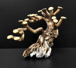 Коряга "Бонсай" 18х13х17см B86-XS