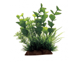 ArtUniq Bacopa mix 12 Композиция из искусственных растений Бакопа, 10×5×12 см