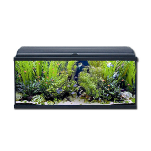AquaDream 1000х300х450 Аквариум 115литров со светильником 1х25Вт Т8 черно/серый