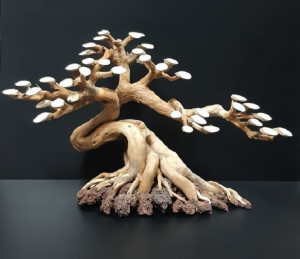 Коряга "Бонсай" 45х16х28см B48-L
