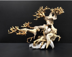 Коряга "Бонсай" 24х14х21см B90-S