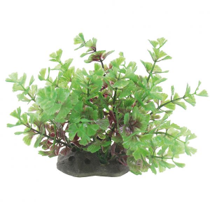 ArtUniq Caryota light red-green 10-12 -Кариота красно-зеленая, светлая, 10-12 см